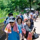 강서구-25 이미지