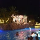 해호텔 | 제주도 호텔 추천｜롯데호텔 제주 내돈내산 후기 (해온 수영장·샤롯데 패밀리 트윈)