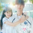 지고지순 | 변우석 주연 [선재 업고 튀어] 지고지순한 단 하나의 사랑, 눈물 속 피어난 해피엔딩 (출연진/줄거리/후기)