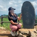 매화세탁소 | [나이키 테크헤라] 등산, 여행 등 코디하기 쉬운 데일리 운동화 3년 찐후기(Feat. 오우드브라운 색상...