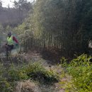 내리농장 이미지