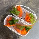 꿈나라공원 내 | 광주벅스랜드 솔직후기｜아이랑 주말에 가기 좋은 광주 실내동물원