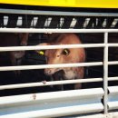 마블농장 이미지