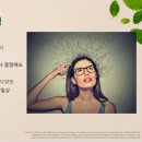 점핑캥거루