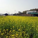 강원식당 이미지