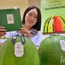 무등산쇼핑 이미지