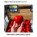 루디아패션 | December