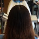 란헤어(RAN)