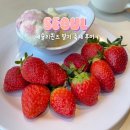 애슐리 미아사거리역점 | 애슐리퀸즈 미아사거리역점 딸기 축제 후기 메뉴 가격 포함