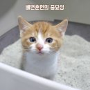 구미나라약국 이미지