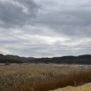 나들정원 | 가을 나들 명소 파주 임진강 댑싸리 정원 축제에 댑싸리 보러 다녀왔어요!