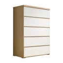 데코라인 이미지