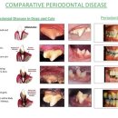 늘봄동물병원 이미지