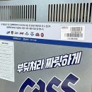 독도사랑쌀도우피자