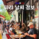 나무타는고양이 구경하는강아지 | 땡볕의 파리 날씨,옷차림,준비물,볼거리 여행정보