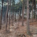 시루봉산성 이미지