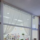 지니플로라