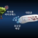 에폴리시스템 이미지