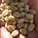 후안목장 이미지