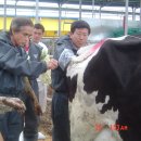 진숙목장 이미지