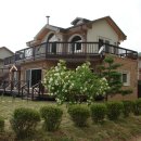 풀빛고운 이미지