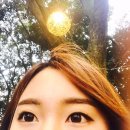 애지앙아파트 | [제주여행/제주메이즈랜드]제주 메이즈랜드, 런닝맨 촬영지