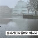 암스테르담 자유대학교에서 경험할 수 있는 것: 교환학생 장단점, 후기