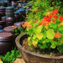 삼정농산 이미지