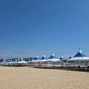 그늘막57 이미지