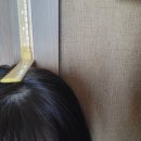 키크는한약 성장기 자녀에게 먹여보니?