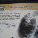 추원모차골 Daum카페