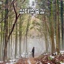 삼다수숲길 1코스 이미지