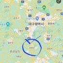 태안 대표작물 &#34;태안마늘&#34;특집(인터뷰영상 포함) 근본적 문제해결은 없나?(태안타임즈) 이미지