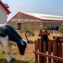 이경용농장 이미지