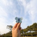 진저로지스 이미지