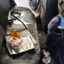 양지카세차장 이미지