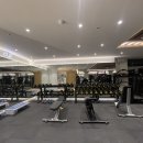 웰컴투짐 이미지