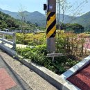 마산여자중학교 | 마산 수국 카페 앵지밭골 그집