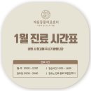 채움동물의료센터 이미지