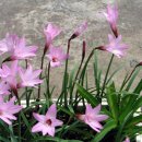 하대동312 이미지