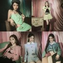 아름다운 이미지