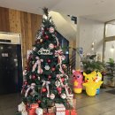 수상카 | 오송 카페 &#39;카페그니&#39; 청주대형카페 추천, 브런치 맛집 방문후기!