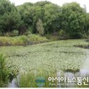 선정1리마을회 이미지