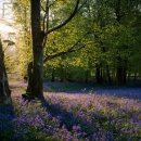 서울브라보치과의원 이미지