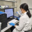 양돈산업 이미지