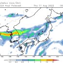 2022년 8월 초 순간 강수량 최대 140 mm/hour 이미지