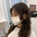 미니비헤어