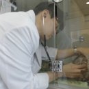 합천동물병원 이미지