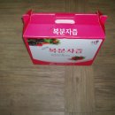 고창산속골복분자영농조합