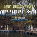 동교낚시터